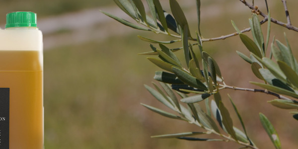 Producteur d'huile d'olive vierge extra de qualité supérieure à Lamanon