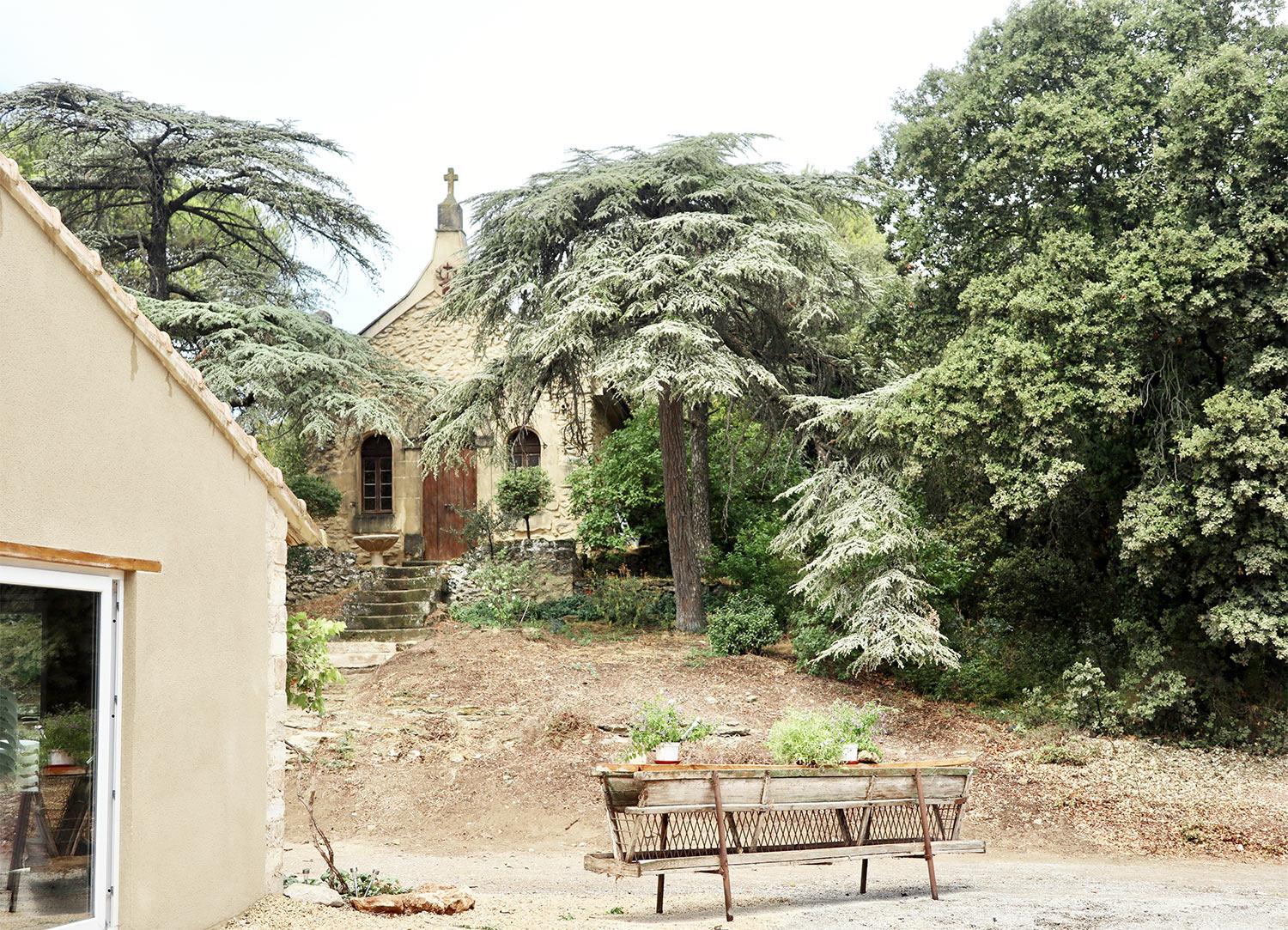 Cave de dégustation des vins IGP Alpilles