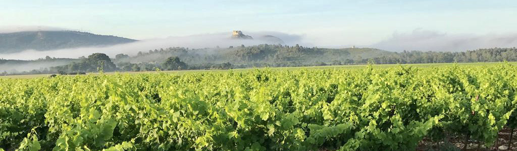 Notre domaine sur Lamanon, un terroir d'exception aux portes des Alpilles