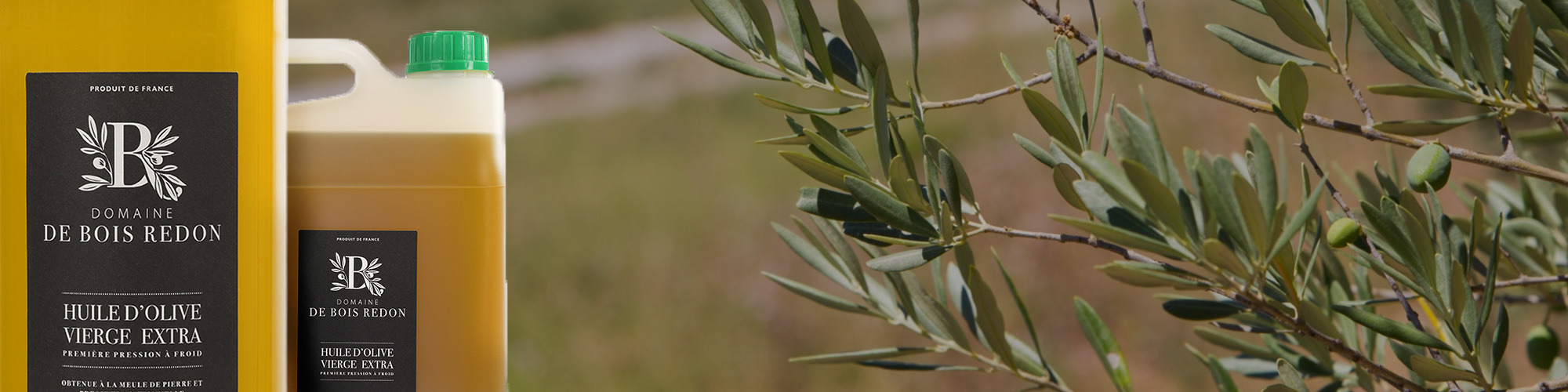 Producteur d'huile d'olive vierge extra de qualité supérieure à Lamanon